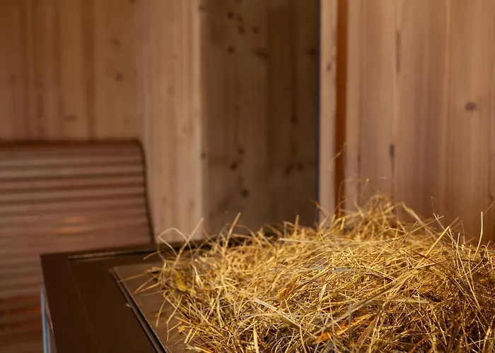 22 Summits Boutique 酒店 采尔马特